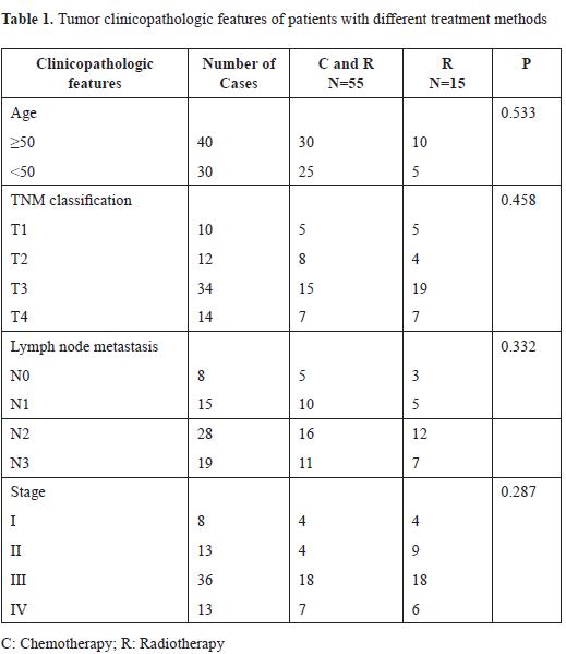 CST 2017-203 Tab1