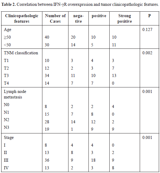 CST 2017-203 Tab2