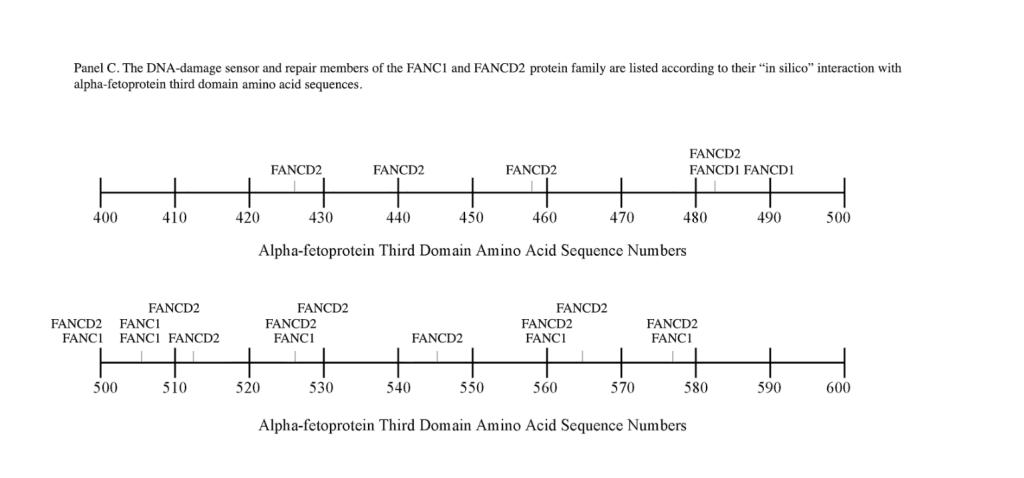 CST 2017-211 - PanelC