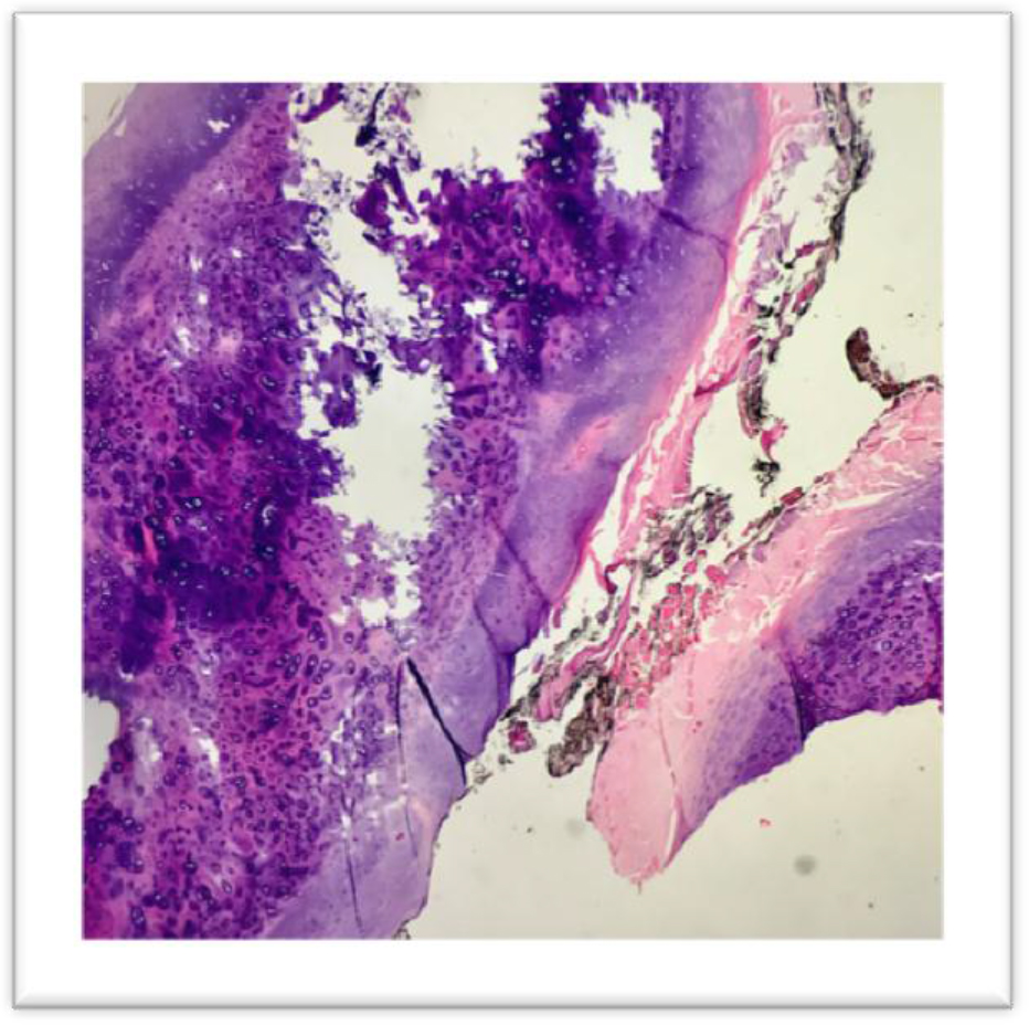 CST2018-102-AmabelleTrinaGeronaPhilippines_F5