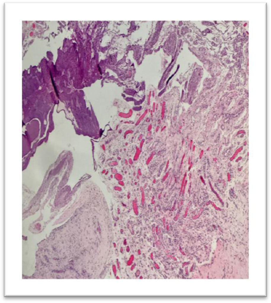 CST2018-102-AmabelleTrinaGeronaPhilippines_F6