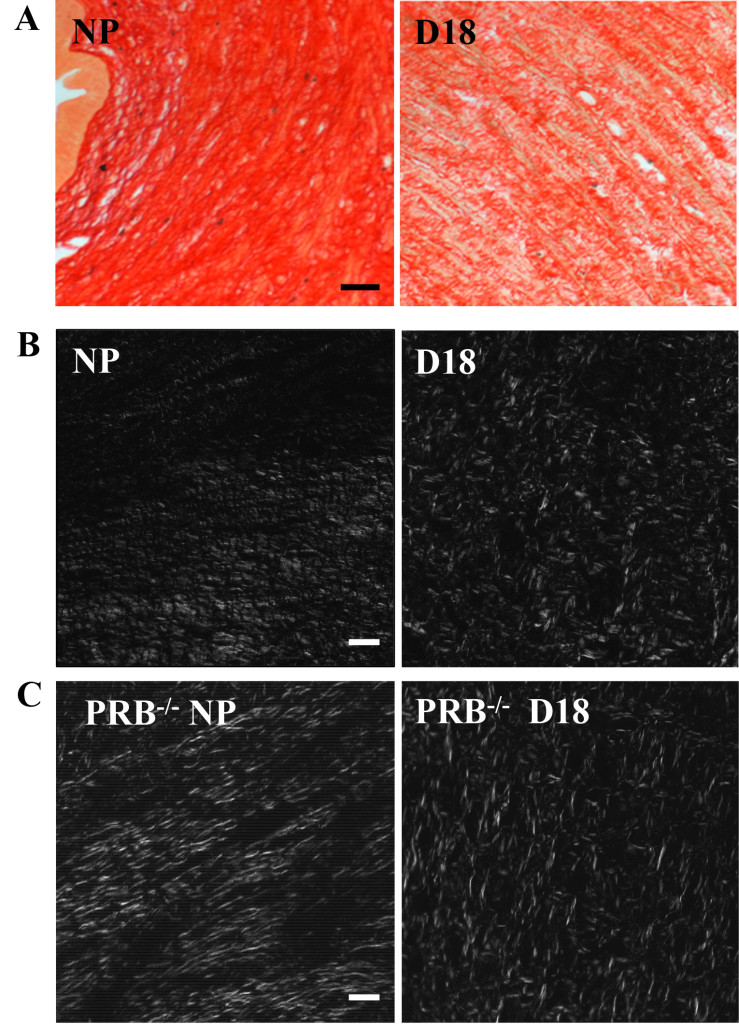 Microsoft PowerPoint - _Kirby et al PSRms Figures.pptx