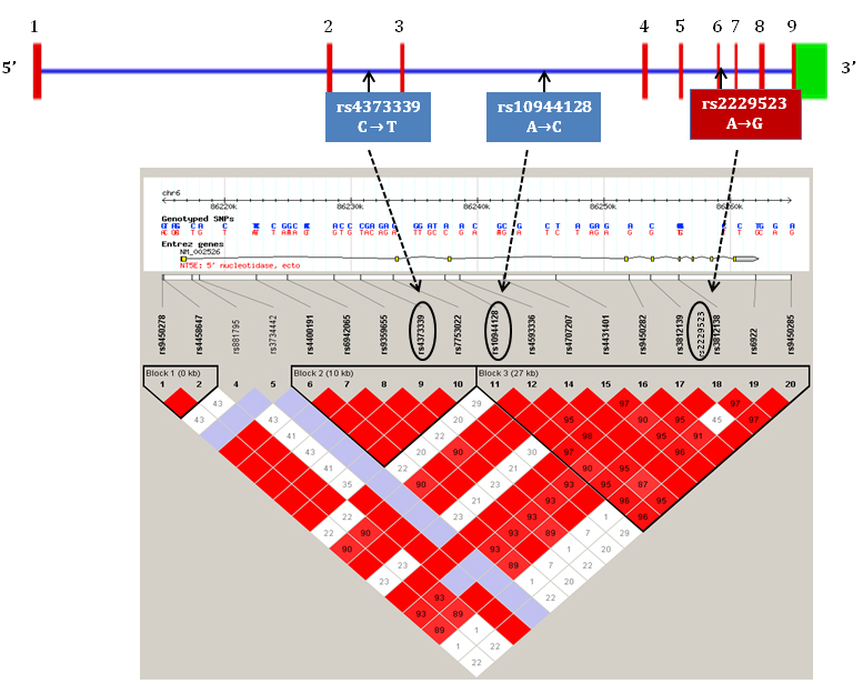 JCRM2018-110-Yasmin UK_F1