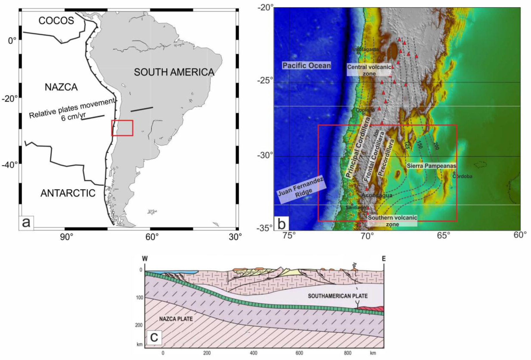 Lithospheric density structure of the southern Central Andes