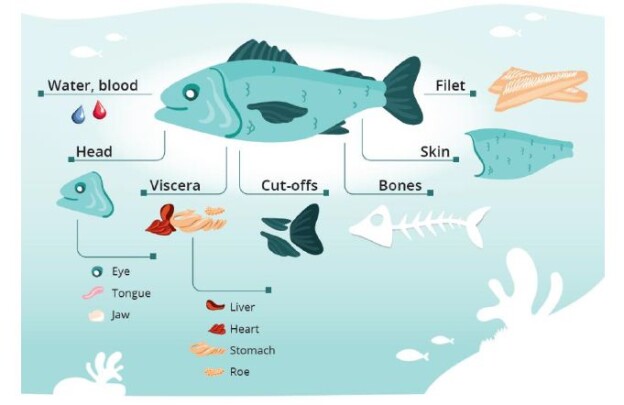 Big Catch Fishing Tackle - UFish Specimen 1kg
