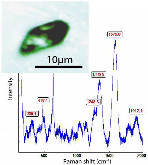 fig 1b